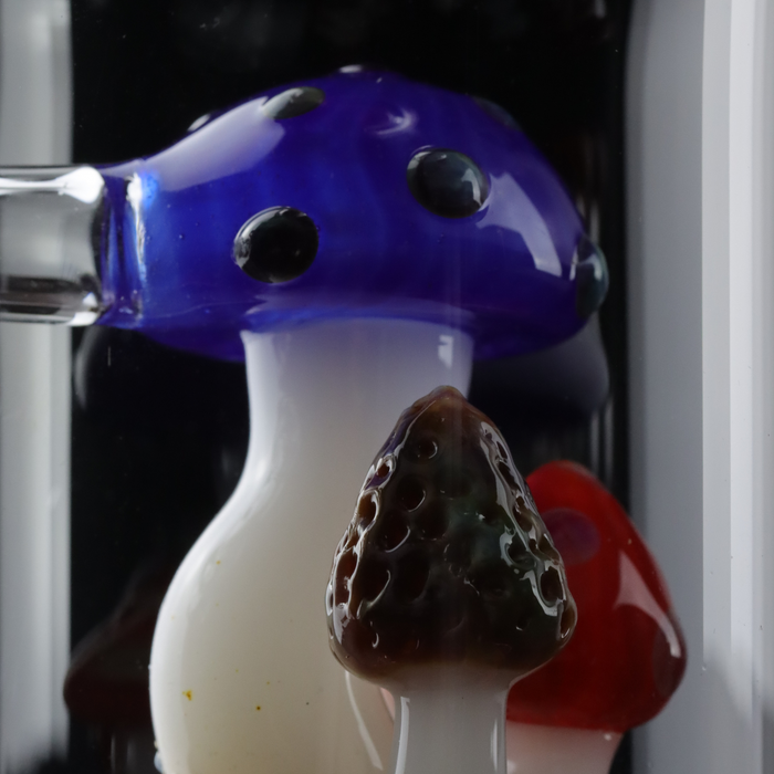 Dab Rig / Öl Bong "Fungos"